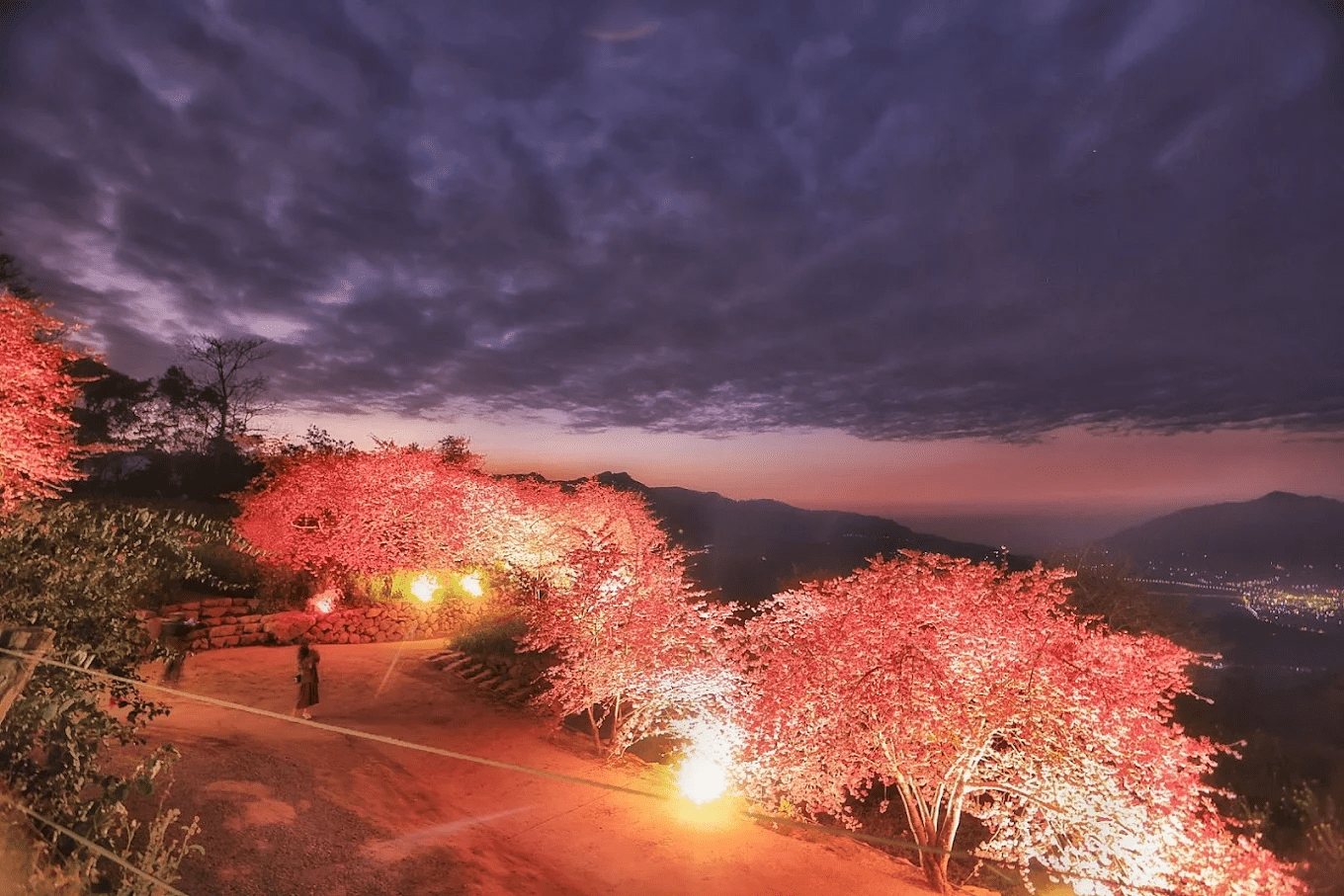 農場內的步道規劃完善,適合各年齡層遊客輕鬆散步