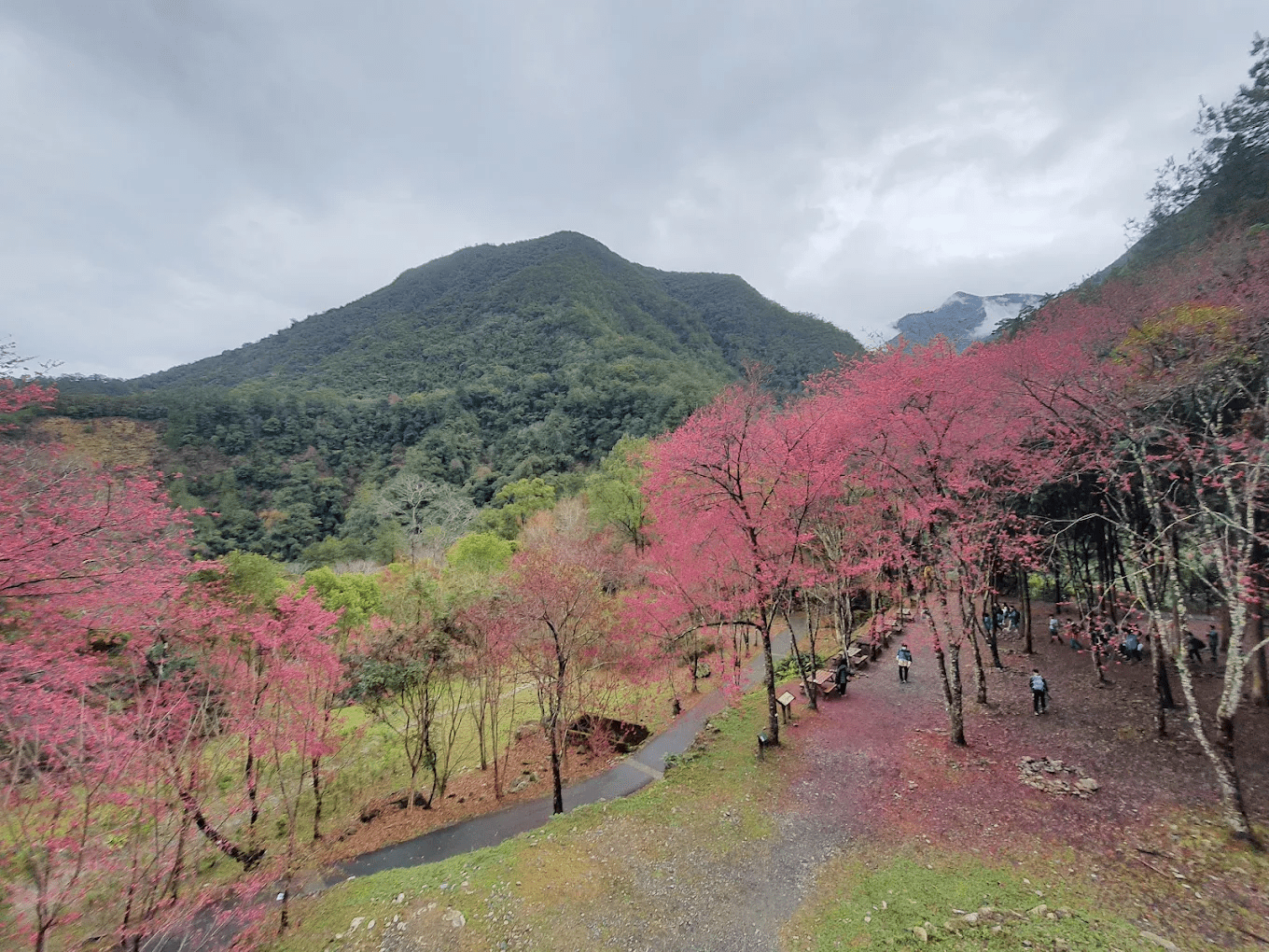 八仙山園區內的休憩涼亭與周邊綠意盎然的景觀，環境清幽。