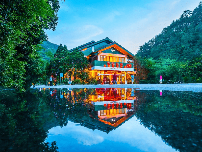 走進高山與雲霧之間，在武陵農場，看見台灣四季最溫柔也最壯闊的樣子