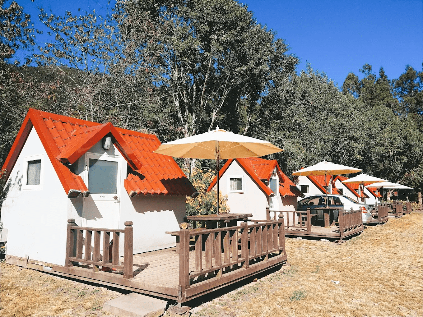 武陵農場露營區