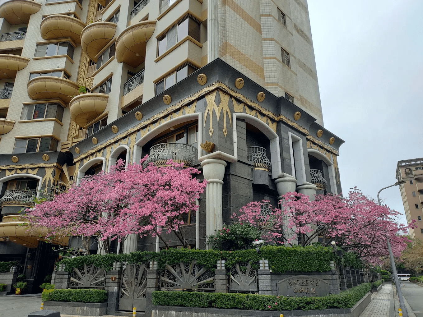 象山公園櫻花盛開美景