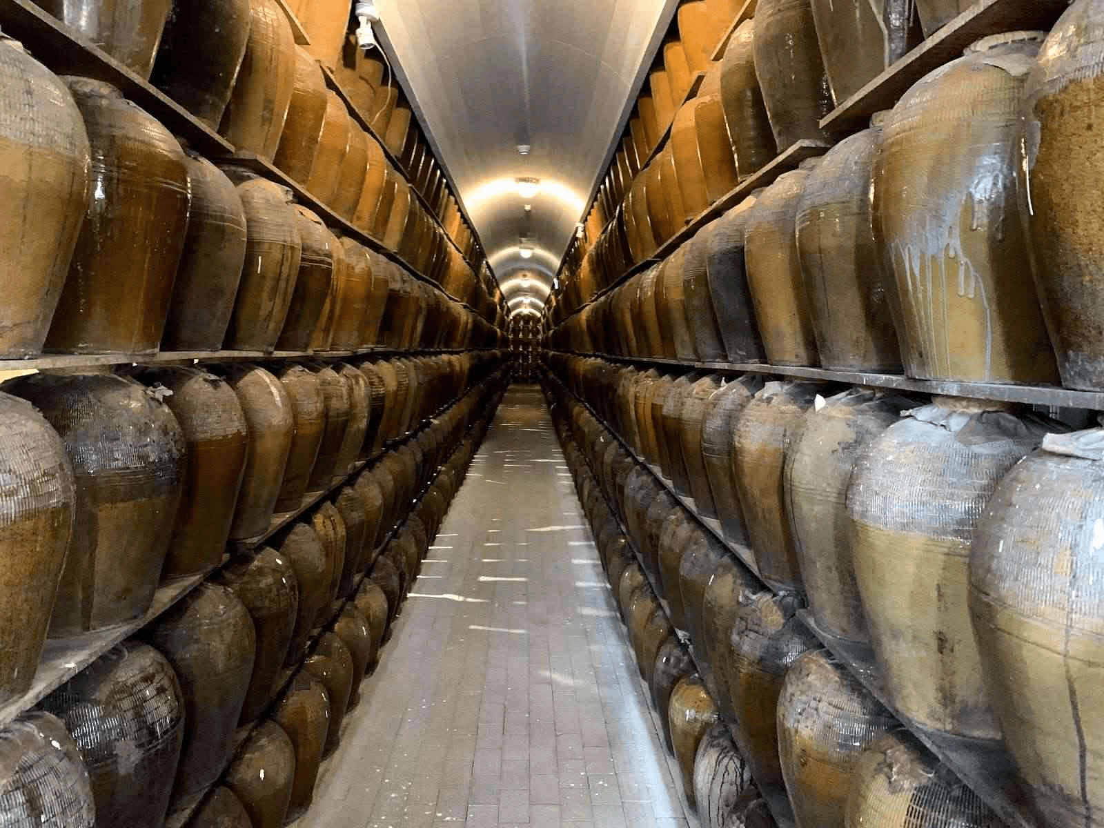 當午後光線落進南投埔里,小鎮景點、酒廠散步與一晚好住的旅行就這樣展開