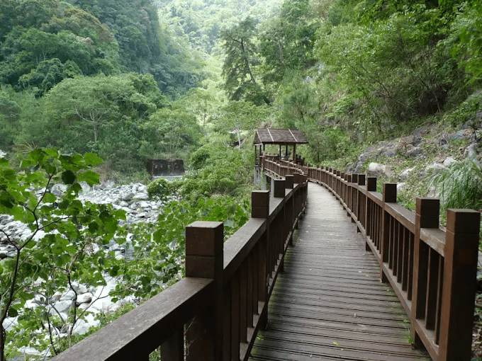 把腳步放慢走進台中和平深處，八仙山森林遊樂區正適合這樣的一天