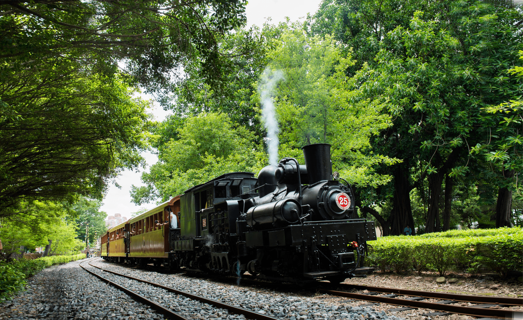 沿著森林鐵道走進阿里山，在雲海與日出交會的清晨展開一段高山旅行