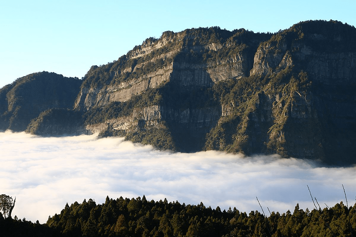 沿著森林鐵道走進阿里山，在雲海與日出交會的清晨展開一段高山旅行