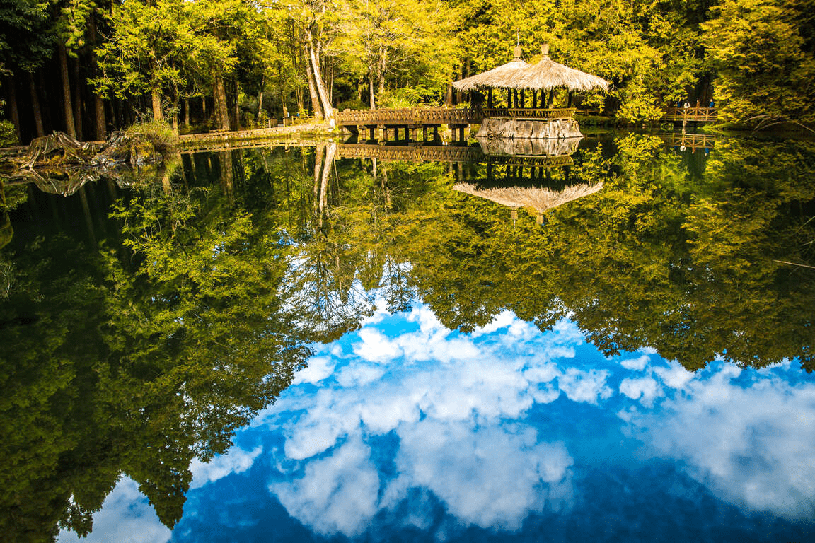 沿著森林鐵道走進阿里山，在雲海與日出交會的清晨展開一段高山旅行