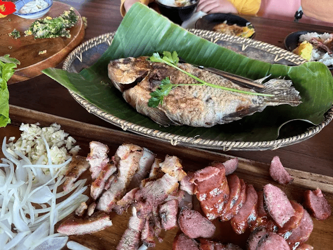 沿著森林鐵道走進阿里山，在雲海與日出交會的清晨展開一段高山旅行