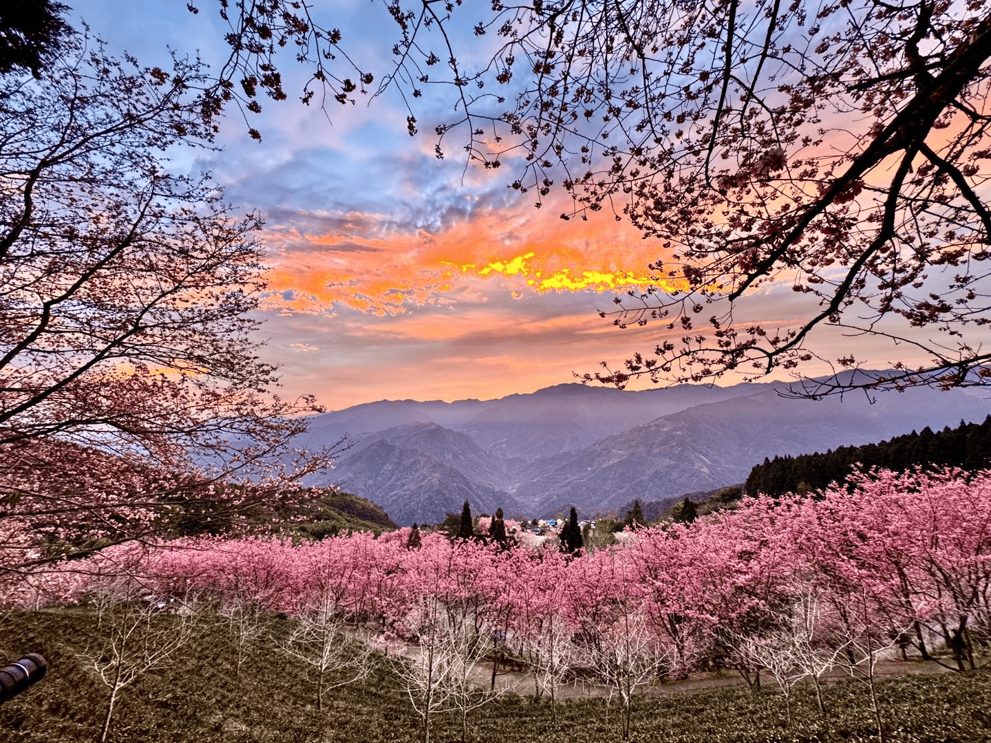沿著山路往新竹五峰前進，在山上人家森林農場住進森林深處，感受雲霧流動的片刻寧靜