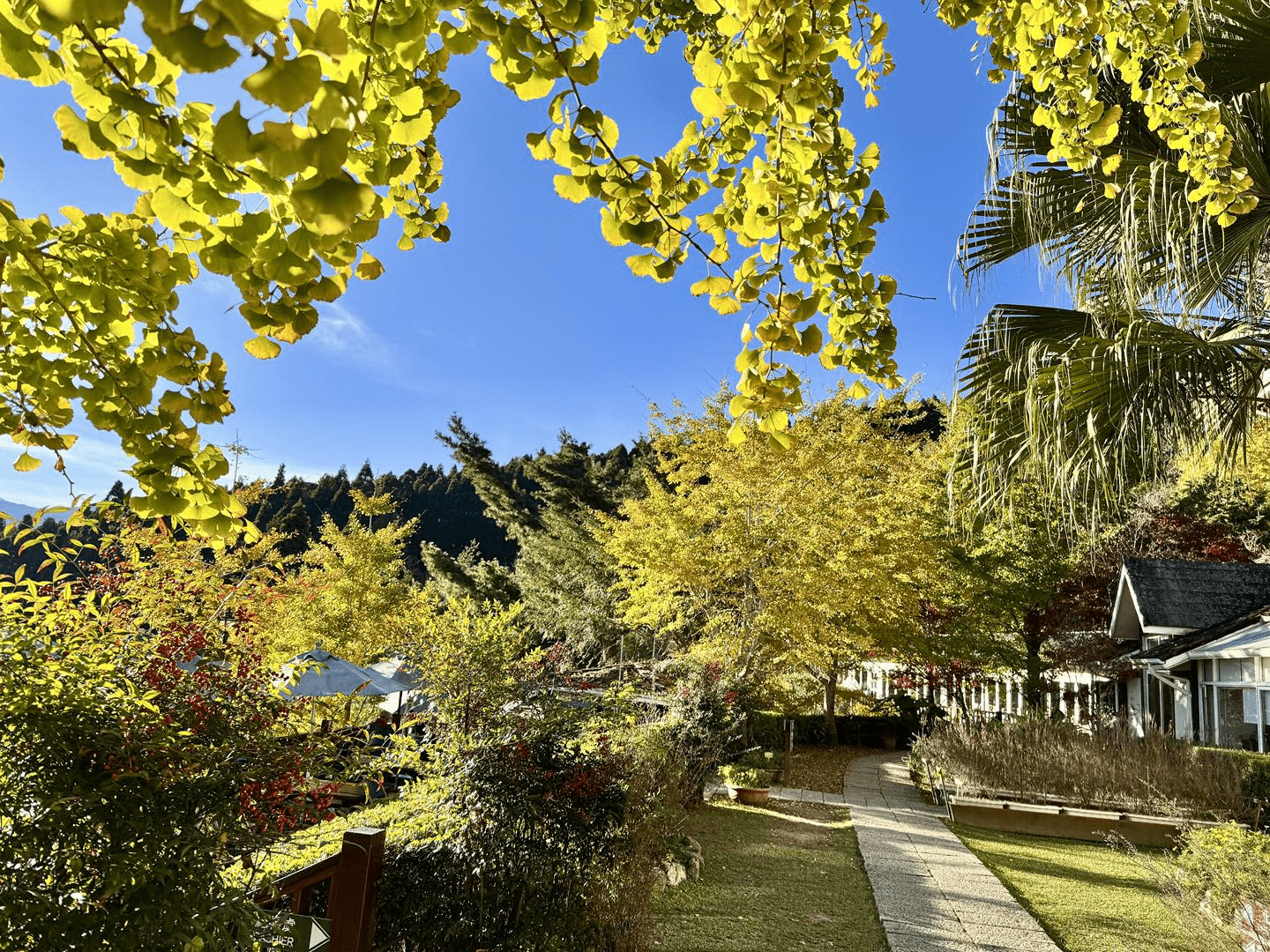 沿著山路往新竹五峰前進，在山上人家森林農場住進森林深處，感受雲霧流動的片刻寧靜