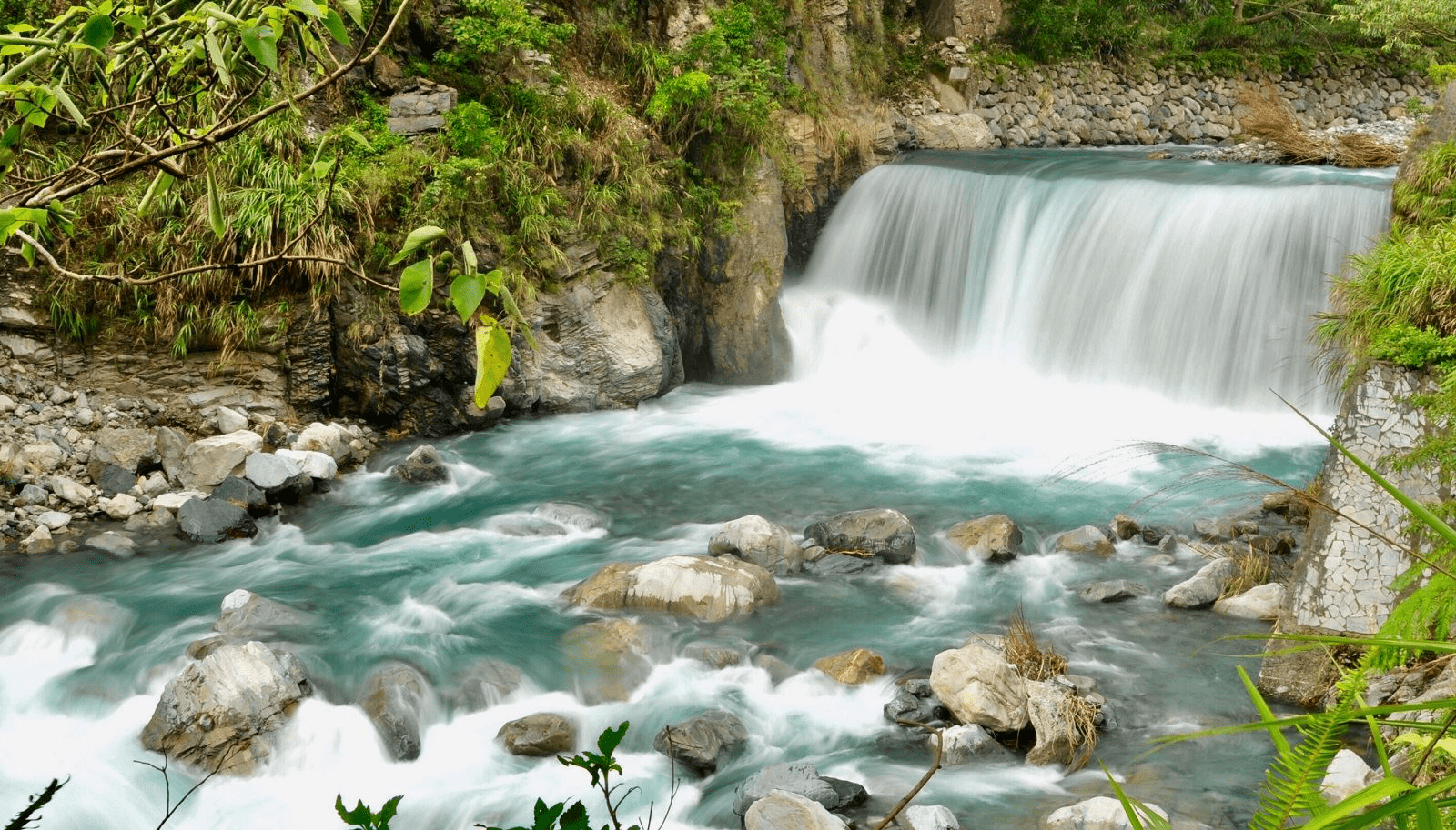 當腳步放慢山霧升起，在八仙山國家森林遊樂區遇見最剛好的避暑與安靜