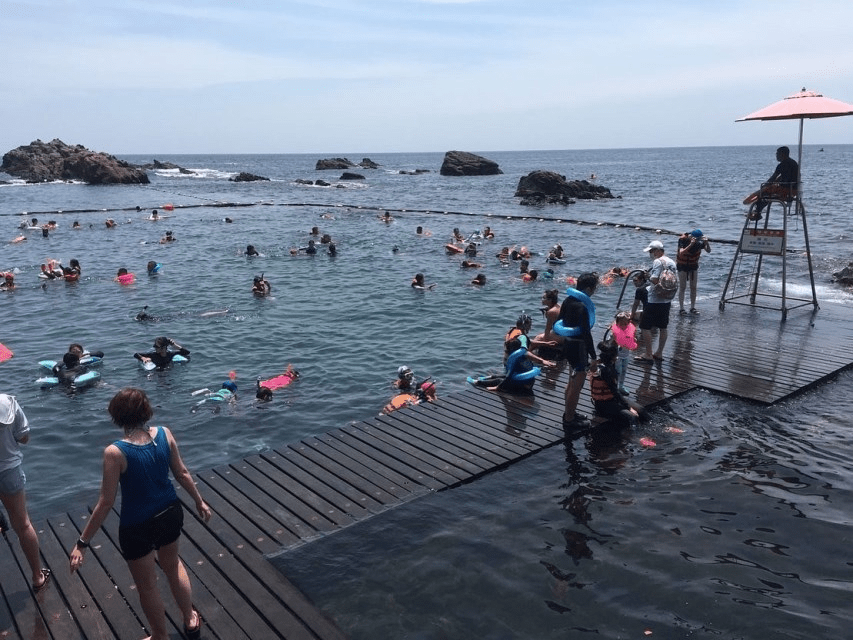 當浪聲貼近腳邊，在新北貢寮的龍洞灣散步，看見岩岸與海水交會的瞬間