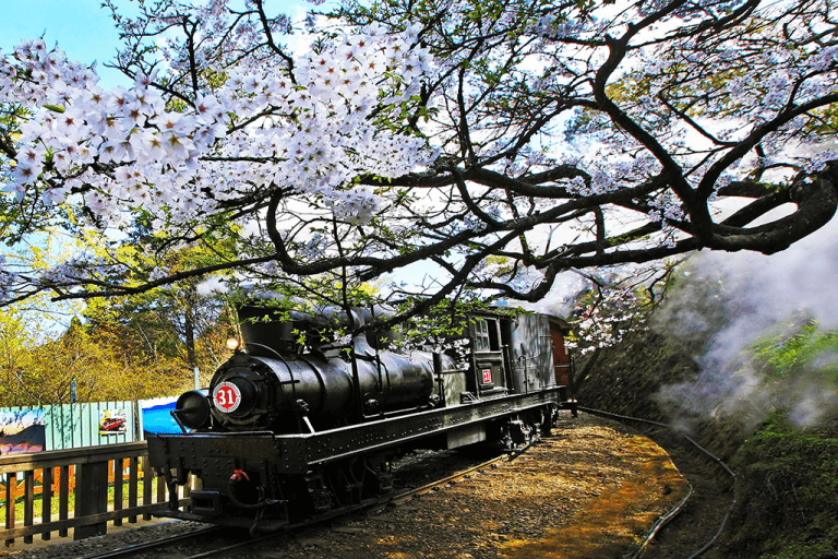 雲霧流動、鐵軌延伸，阿里山火車站以木造的溫度，成為高山旅程的開始