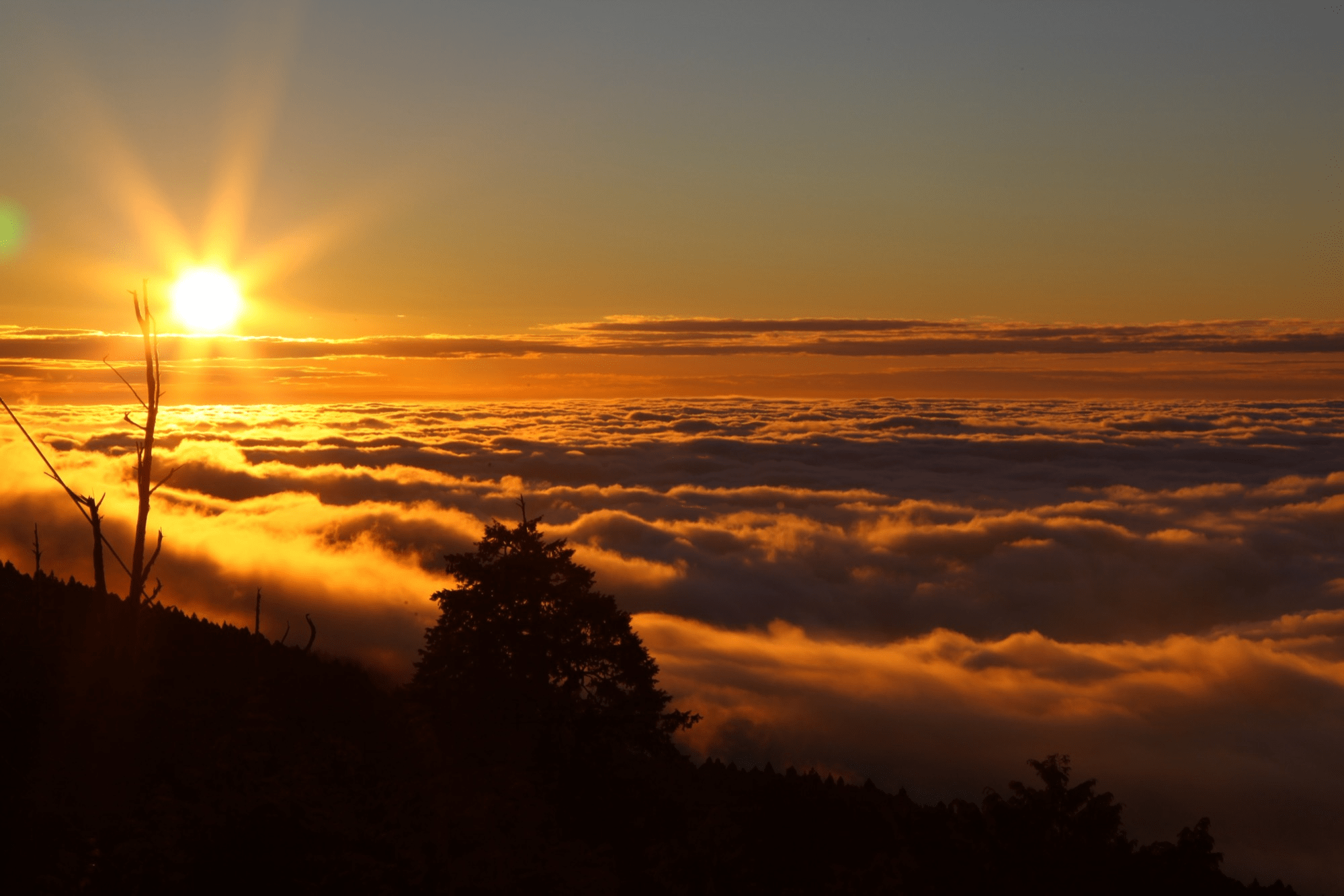 當城市開始變得太快，走進台灣國家森林遊樂區，用腳步在林間找回自己的節奏