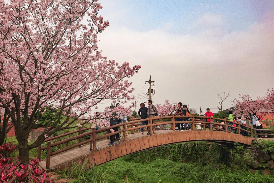 在三芝的海邊停下腳步，走上觀景平台看夕色入海，再轉進田園迎接安靜午後