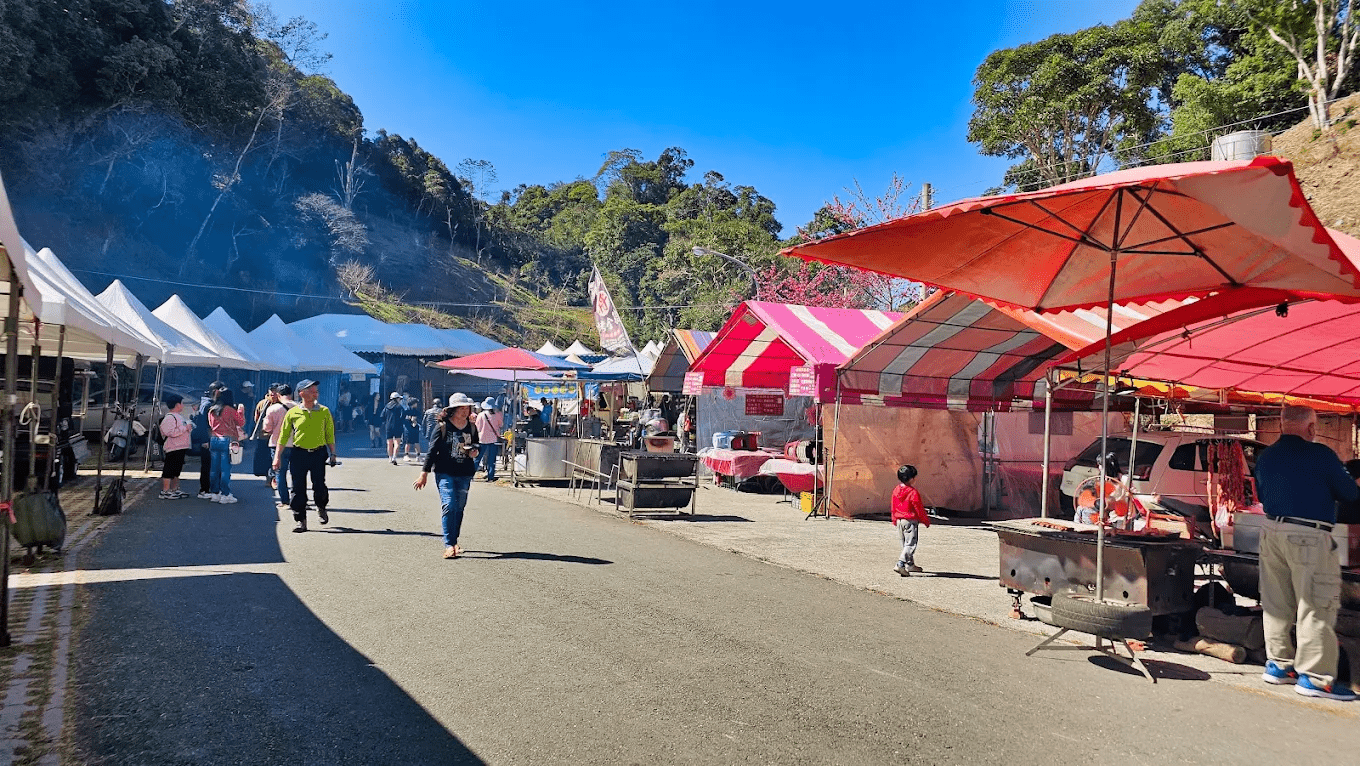 當雲霧繚繞山頭，粉色櫻花在霧氣中若隱若現，充滿了仙氣與詩意。