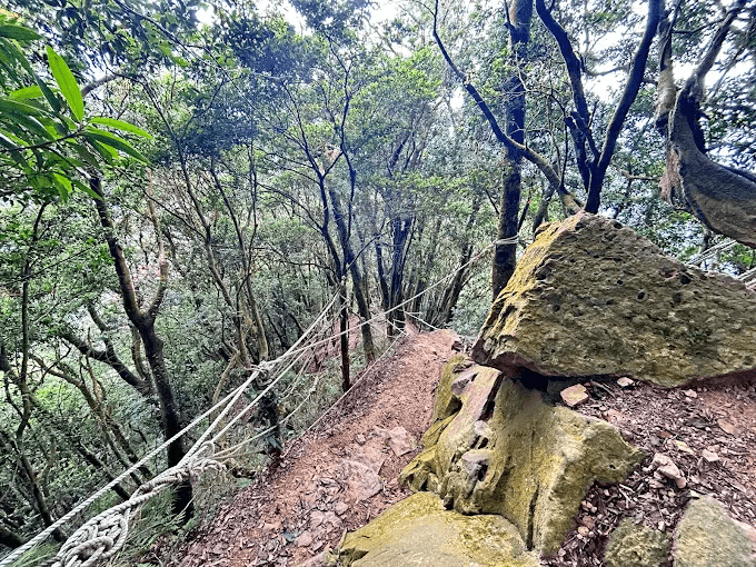 苗栗仙山步道拉繩路段，登山者正專注攀登