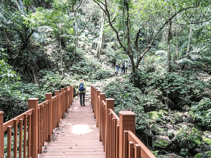 鳴鳳古道上古樸的石階步道，兩旁樹木蓊鬱