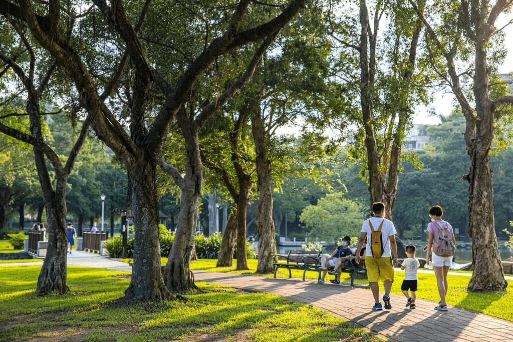 沿著湖岸走進內湖大湖公園，錦帶橋倒影、落羽松與親子野餐交織的日常風景