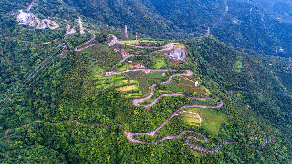 沿著山路轉進嘉義梅山，在茶園與太平雲梯之間走一段被雲海包圍的午後時光