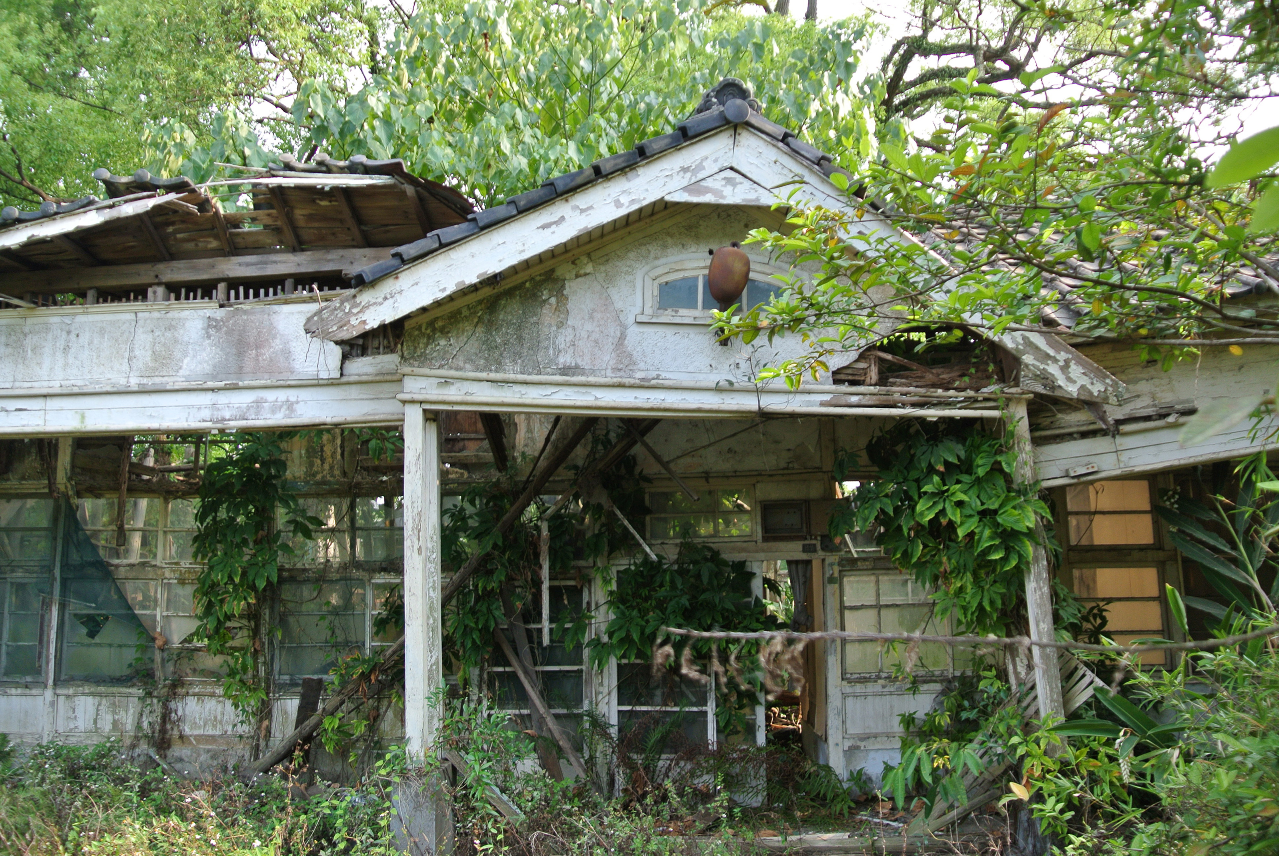 斗六糖廠宿舍歷史建築群,展現日治時期留下的建築美感與時代痕跡