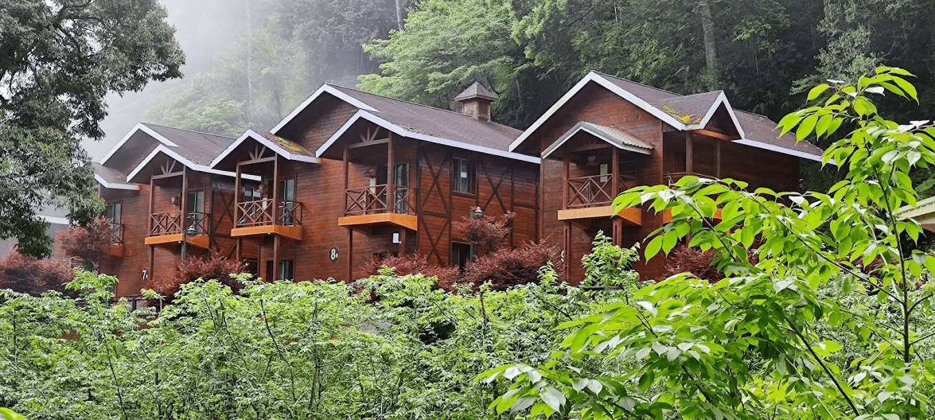 在杉林溪的冬日清晨醒來，選對住宿，讓雲霧、樹影與靜山陪你過一晚