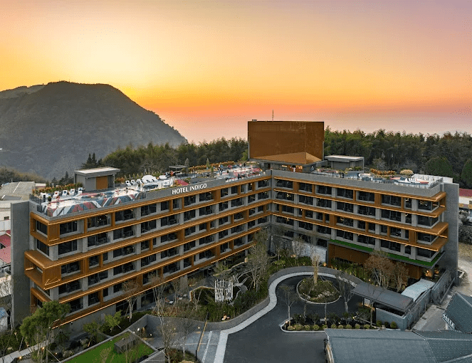 為了一場雲海與高山夜晚出發，在阿里山選一間適合停下來的住宿住一夜