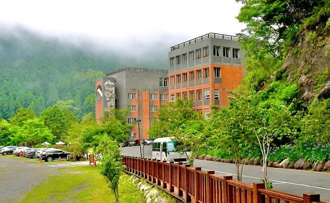 沿著彎曲山路抵達南投杉林溪,在高海拔森林裡住一晚,讓身體重新記得慢的節奏