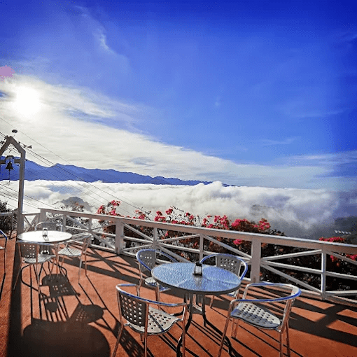 秋冬走上阿里山，在雲海升起的清晨與木屋安靜的夜裡，住一晚剛好的山居節奏