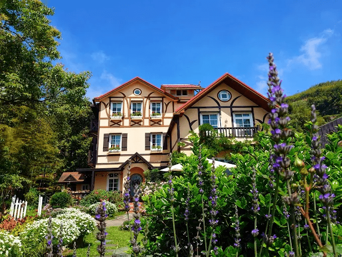 秋冬走上阿里山，在雲海升起的清晨與木屋安靜的夜裡，住一晚剛好的山居節奏