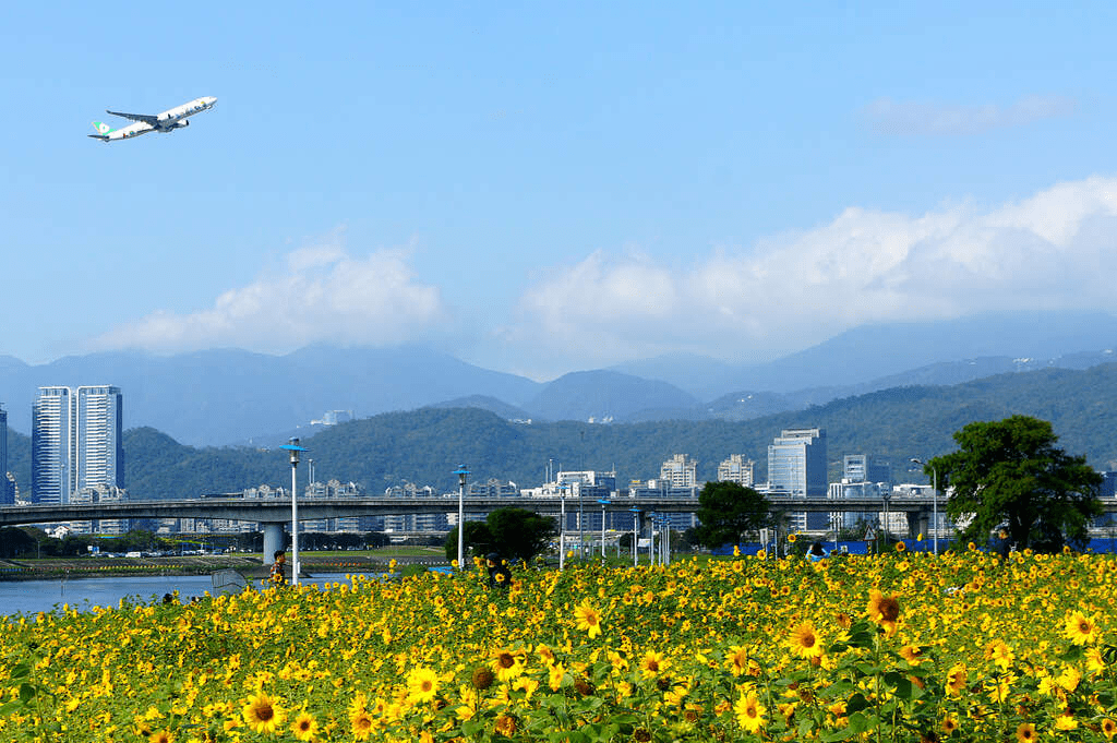 在內湖找一個午後出發的理由，走過吊橋、公園與夜色交會的拍照路線