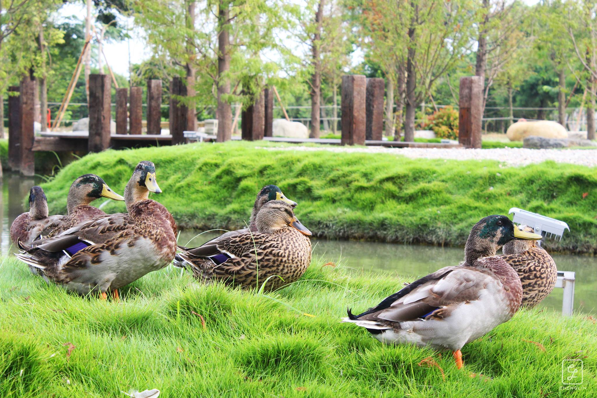 澄霖沉香味道森林館 
