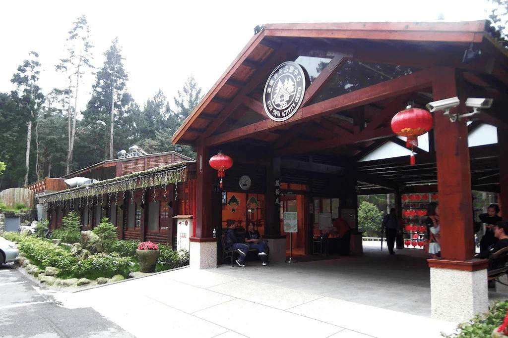 走進溪頭青年活動中心的森林木屋，在晨霧與杉林之間慢慢醒來，順著步道散步到大學池