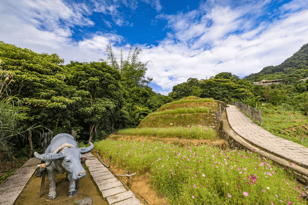 在台北走進山徑與綠蔭之間,用一個午後完成城市戶外活動的輕旅行節奏