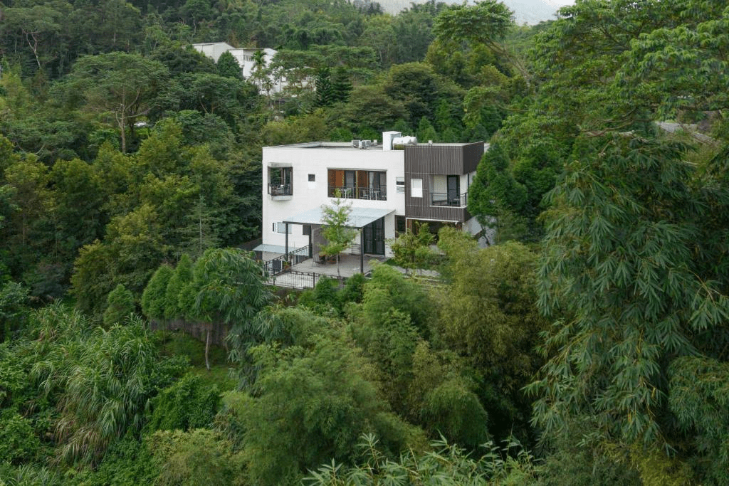 沿著南投溪頭森林步道向前走，讓霧氣與陽光交錯成一段柔軟的旅程