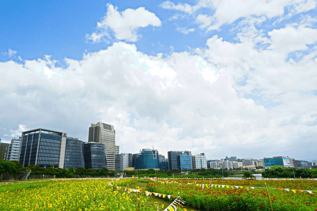 當陽光落在台北戶外運動公園的草地上，一場野餐與輕運動就這樣開始