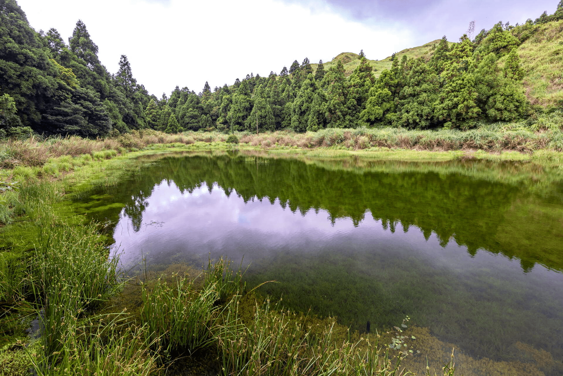陽明山夢幻湖迷霧與湖面景色