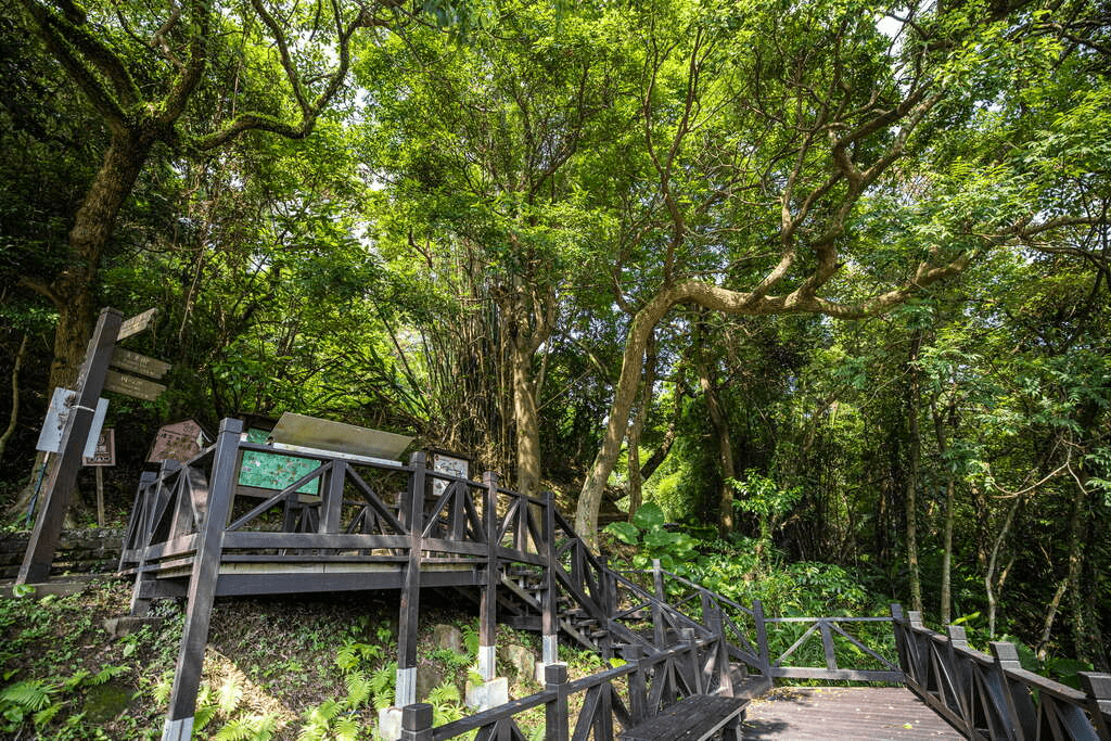 離開城市節奏的一天,從內湖金面山步道走到白石湖吊橋,把風景慢慢走進心裡
