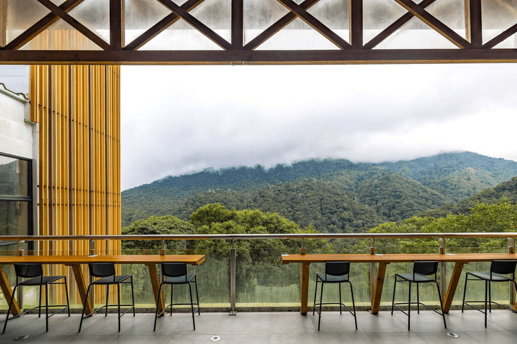 從桃園拉拉山檜木雲霧出發，走到小烏來天空步道與石門水庫的夕色風景