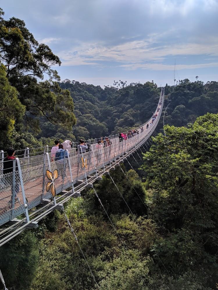 2026南投必去景點！猴探井天空之橋領銜，體驗絕美湖光山色的慢活之旅