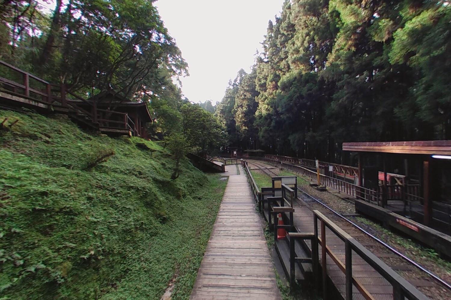 2026 阿里山旅遊全攻略：五大奇景、高山鐵道與森林芬多精的療癒之旅