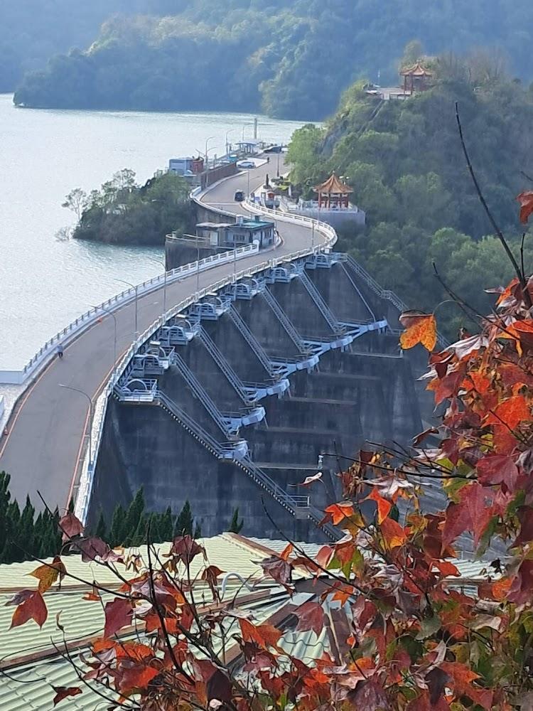 【2026桃園旅遊】石門水庫一日遊攻略：四季賞花、環湖遊艇與大啖活魚三吃