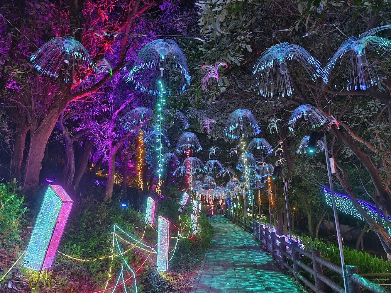 2026桃園登山步道指南：大古山、溪洲山、東滿步道，在山海與森林間找回平靜的微登山之旅