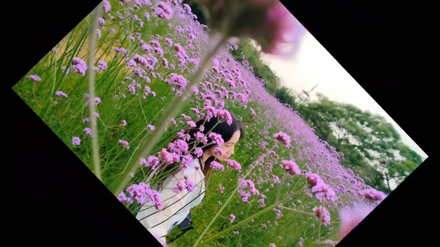 2026桃園觀音必訪！「青林農場」親子旅遊全攻略：浪漫花海、食農教育與療癒動物互動體驗