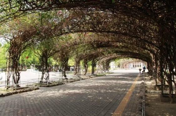 2026屏東市區旅遊全攻略：從百年阿猴城門到頂級共融公園，感受南國城市美學新深度