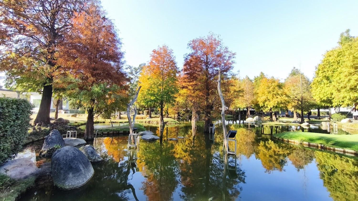 雲林景點｜雲林景點推薦｜澄霖沉香味道森林館：漫步台版兼六園，必拍愛心落羽松秘境