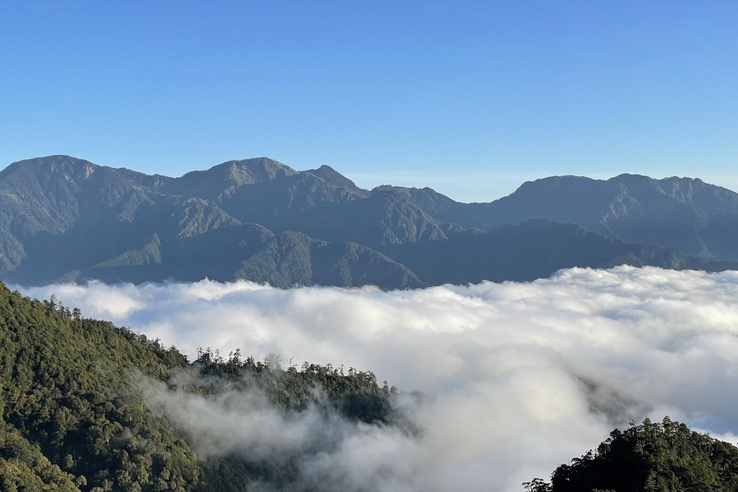 2026大雪山國家森林遊樂區全攻略：走入雲霧之上，探尋神木、雲海與國寶級珍禽的祕境