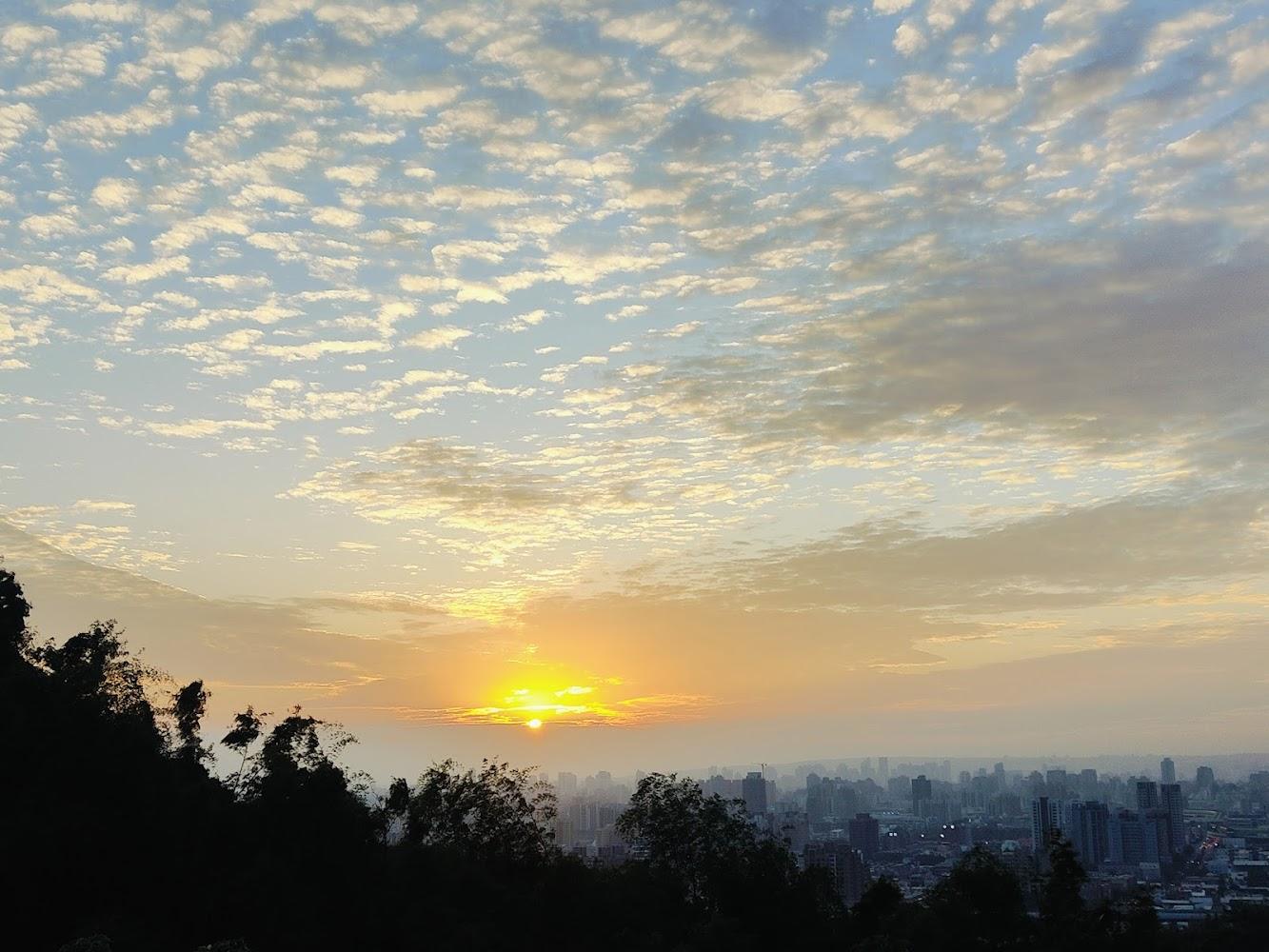 【2026台中旅遊】森呼吸首選！嚴選5條絕美親山步道　大坑綠色隧道、大肚海線夕陽盡收眼底