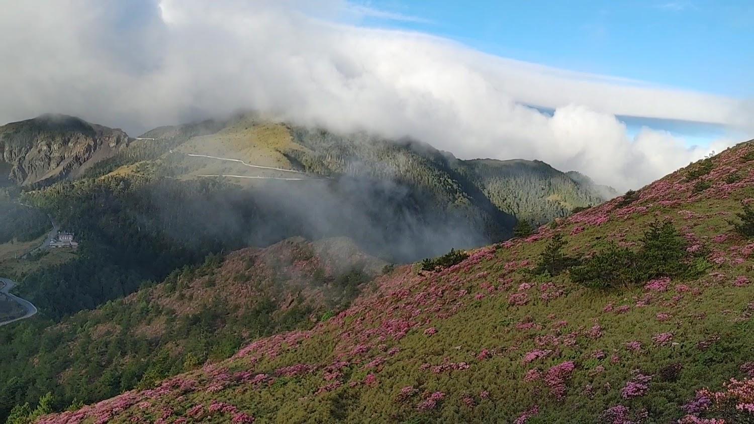 2026 山林旅遊新風潮！合歡北峰、古道秘境成療癒首選，絕美大景一次看