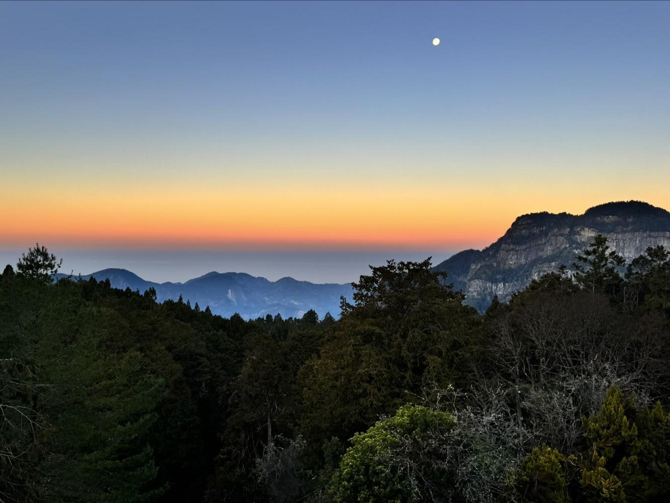 2026阿里山閣大飯店住宿攻略：沼平車站步行3分鐘，獨享雲端曙光與森林浴的效率旅宿體驗