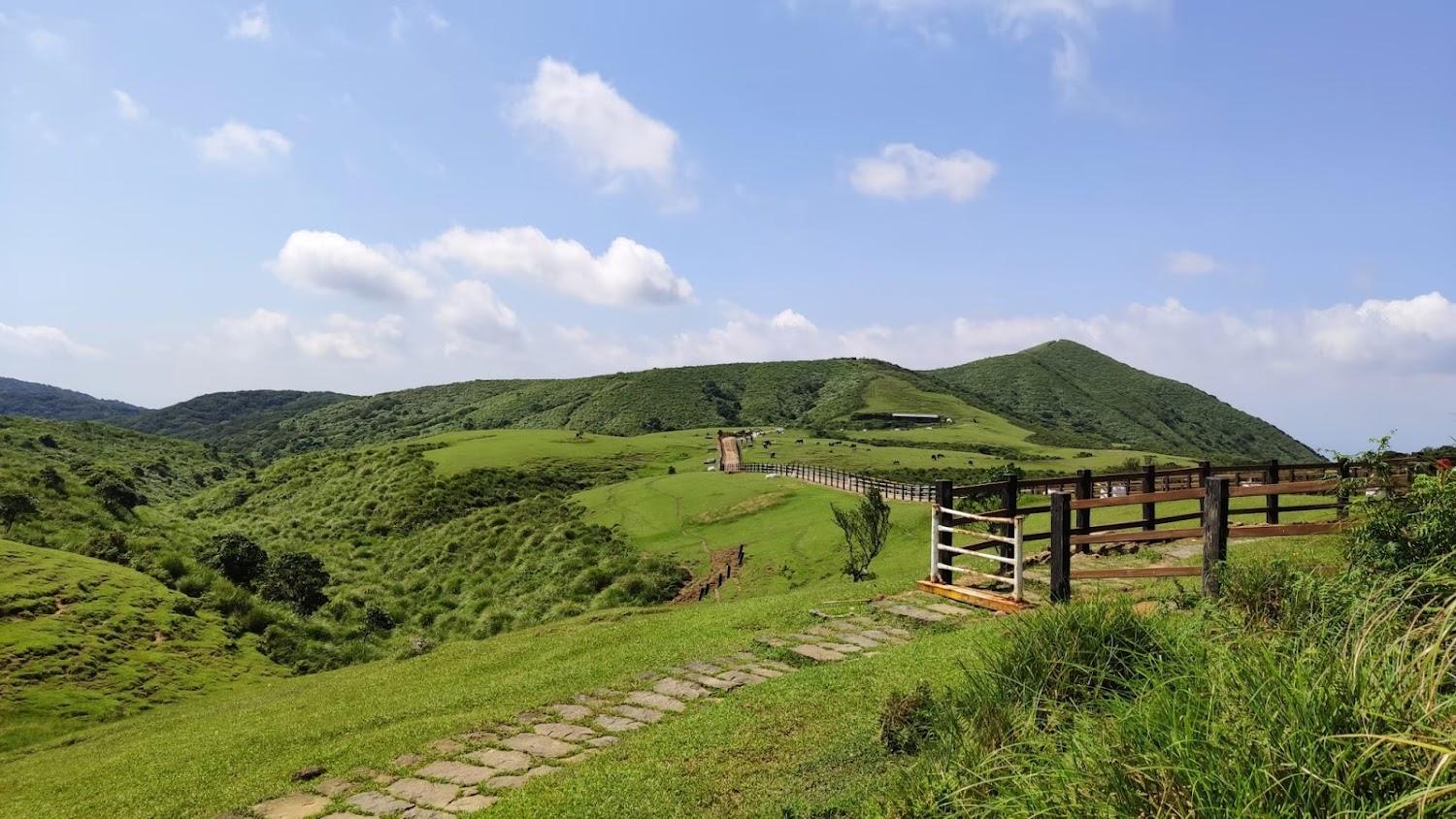 2026陽明山深度遊攻略：台北心靈後花園，走訪火山地景與四季花海的療癒之旅